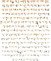 Figure 2—figure supplement 1.