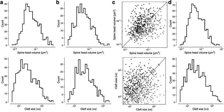 Figure 4—figure supplement 6.