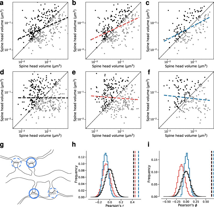 Figure 4—figure supplement 5.