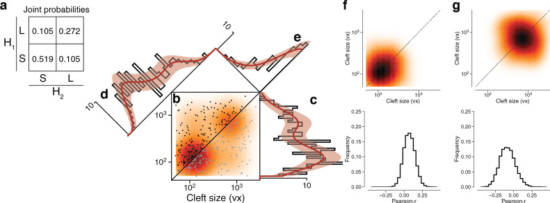 Figure 4—figure supplement 2.