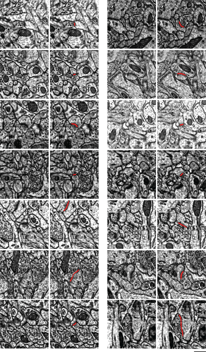 Figure 2—figure supplement 2.