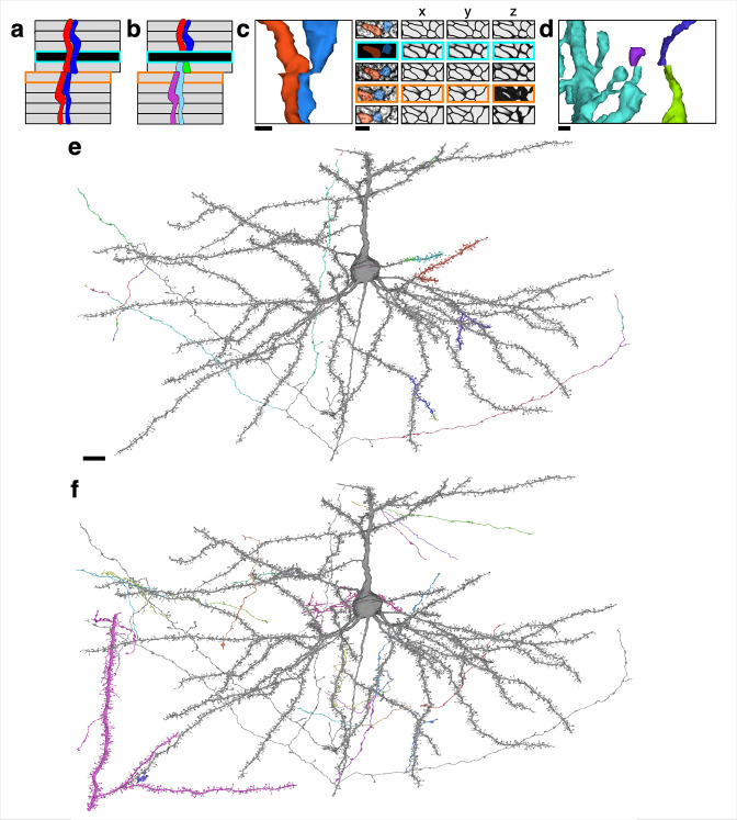 Figure 1—figure supplement 2.