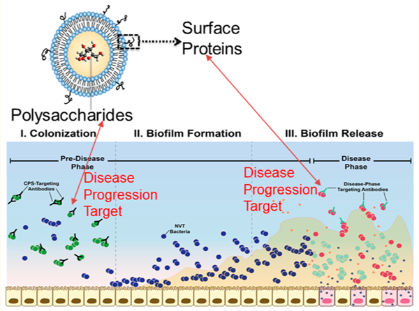 graphic file with name nihms-1866203-f0001.jpg