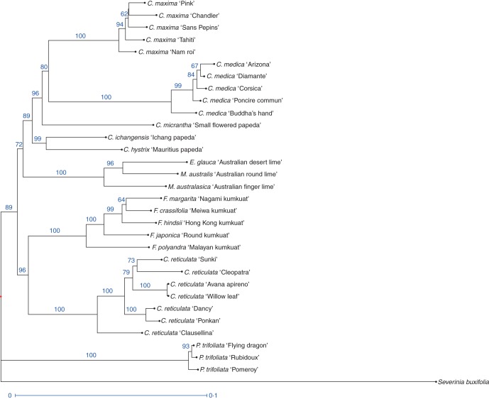 Fig. 2.