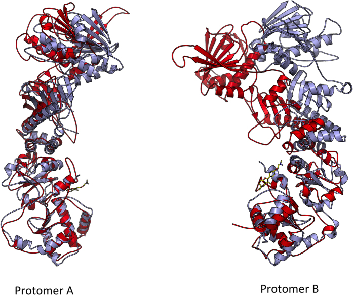 Figure 7