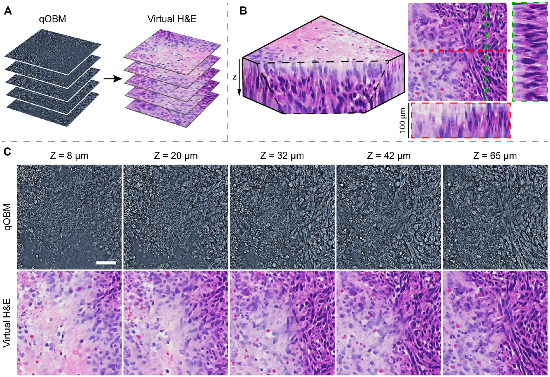 Fig. 7.