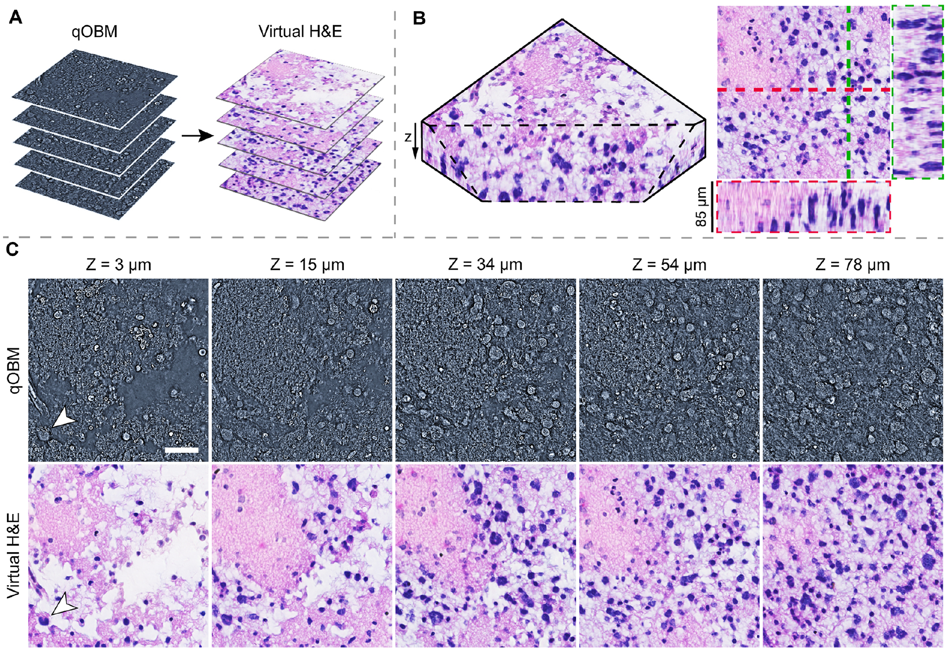 Fig. 9.