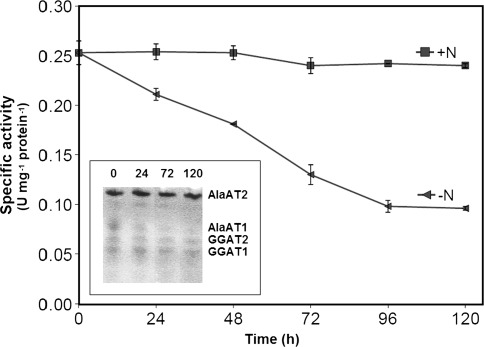 Fig. 10