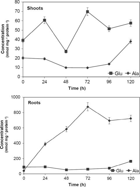 Fig. 7