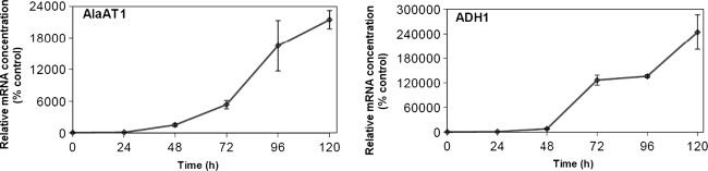 Fig. 4