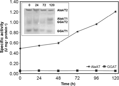 Fig. 6