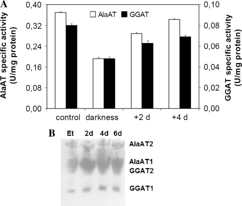 Fig. 13