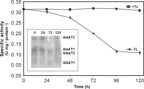 Fig. 11