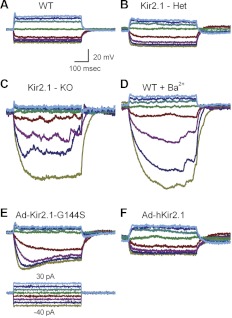 Fig. 9.