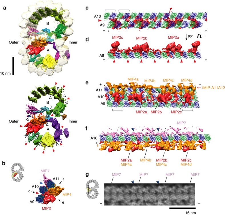 Figure 7