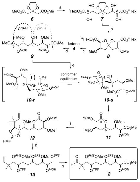 Scheme 2