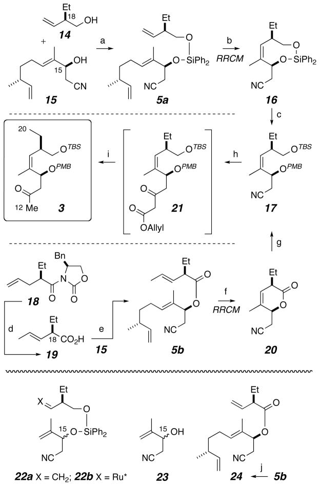 Scheme 3