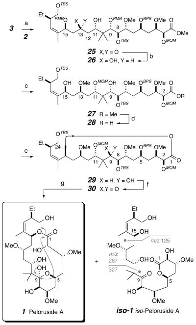 Scheme 4