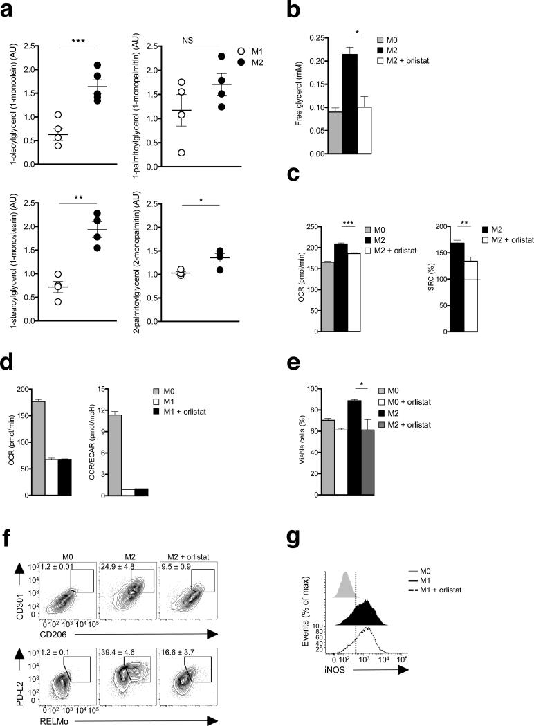 Figure. 2