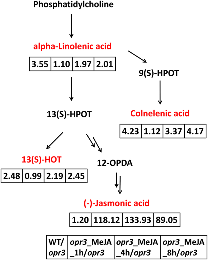 Figure 5