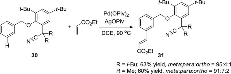 Scheme 5