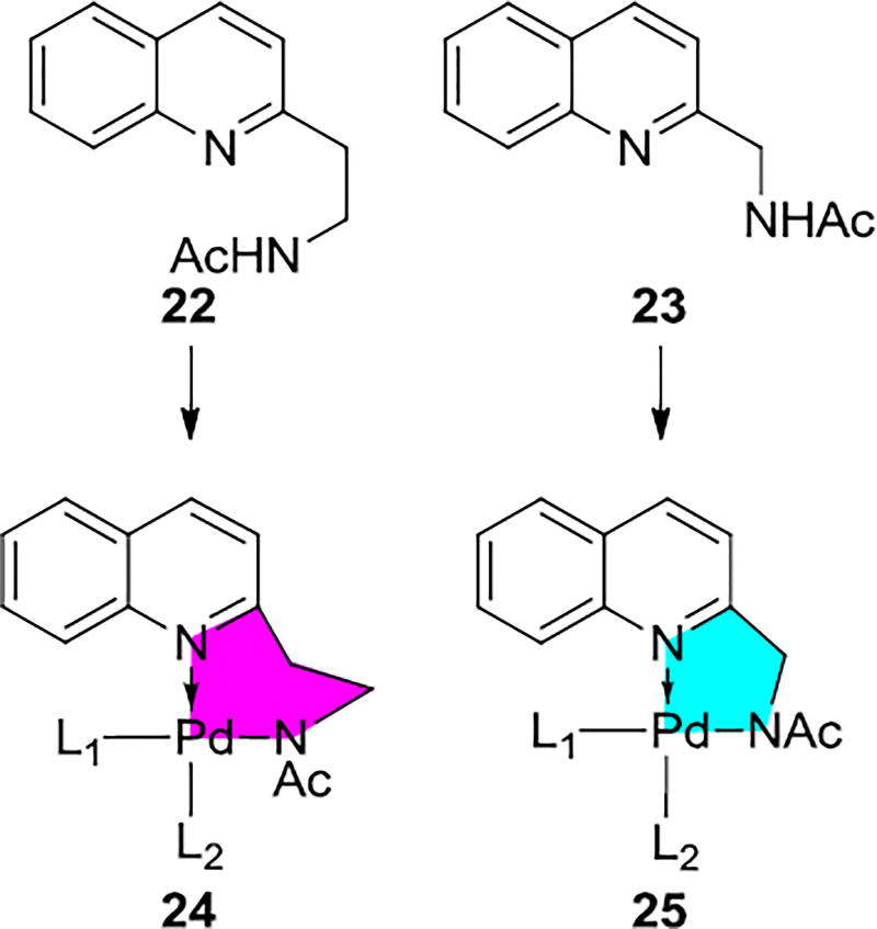 Scheme 4