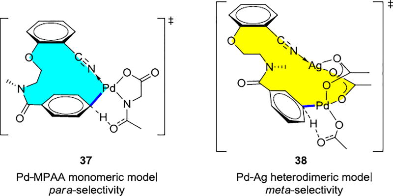 Scheme 8