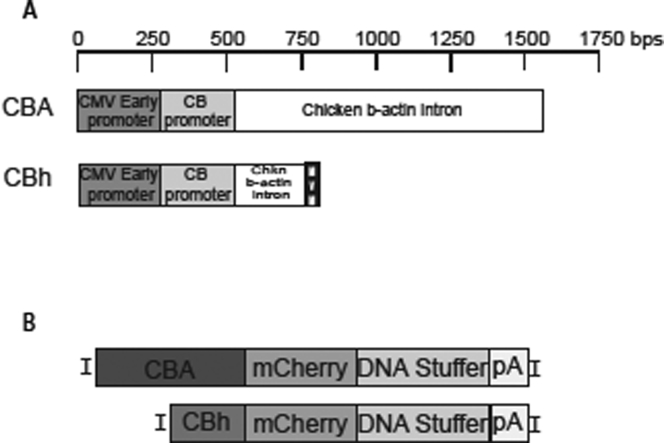 Figure 1