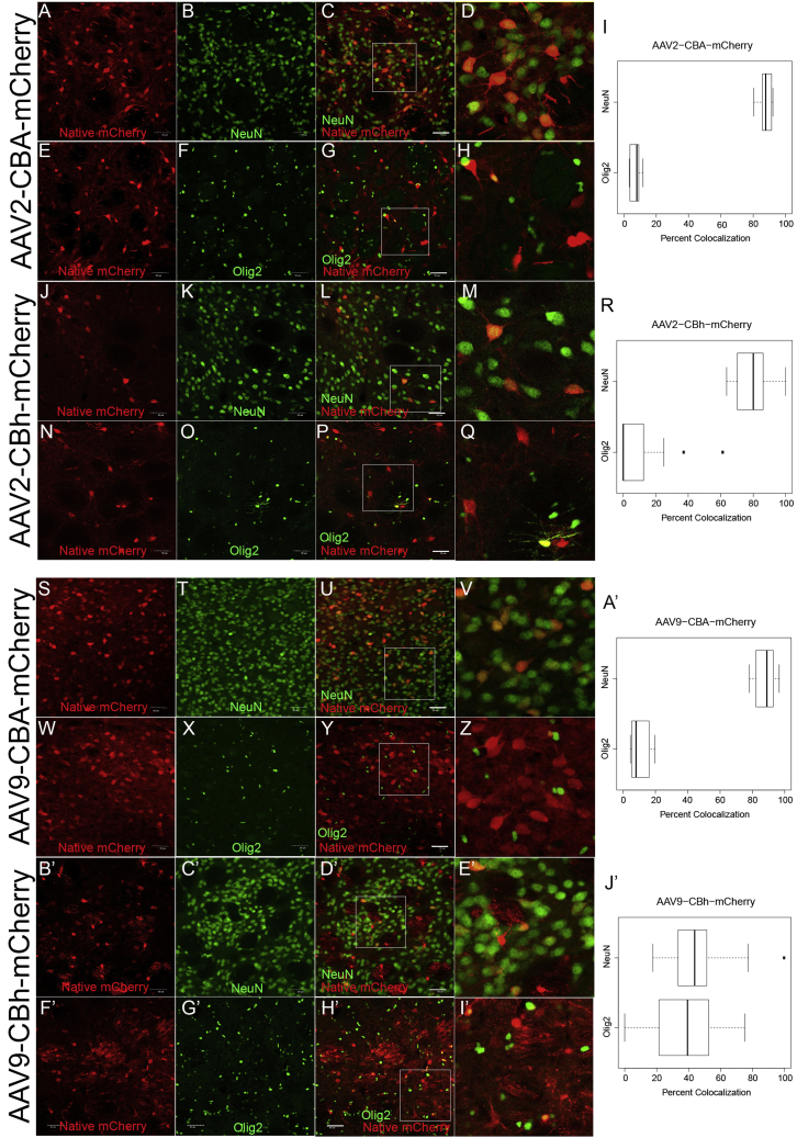 Figure 2