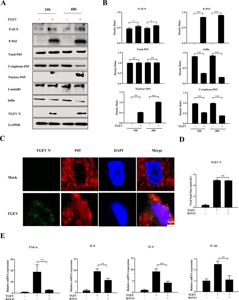 Fig 4