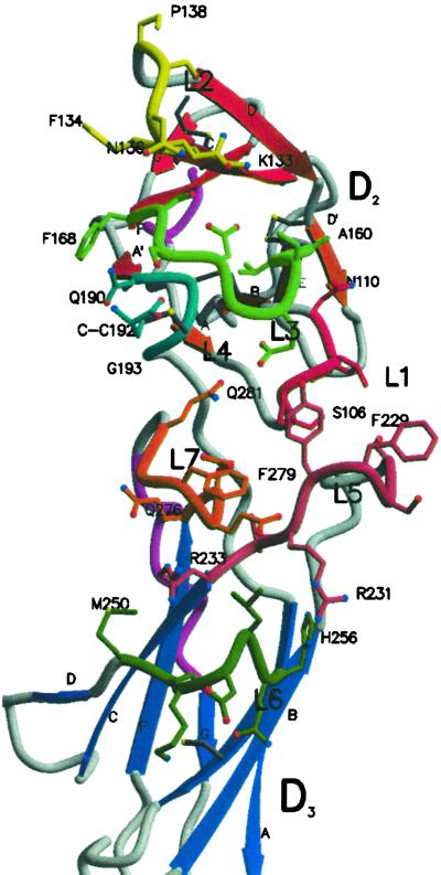 Fig 3.