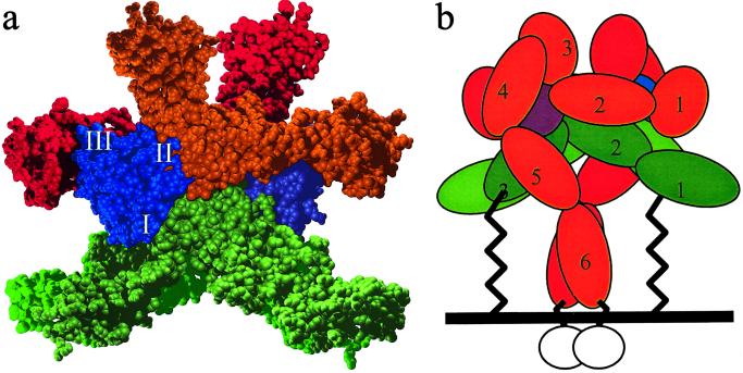 Fig 6.