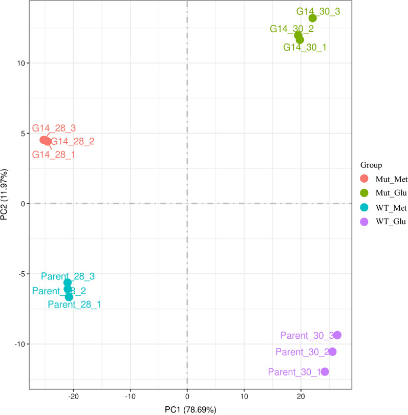 Fig. 2