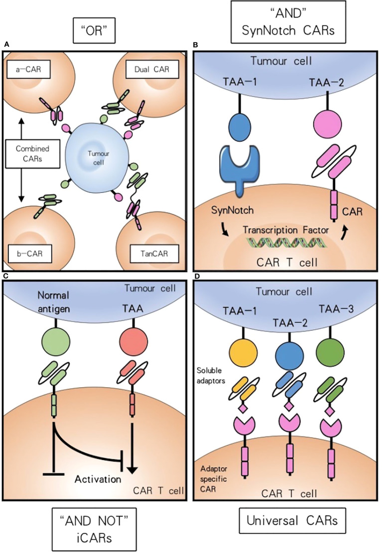 Figure 2