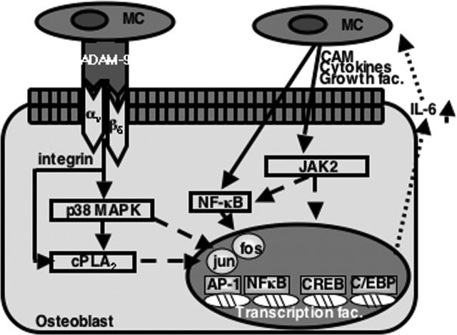 Figure 7.