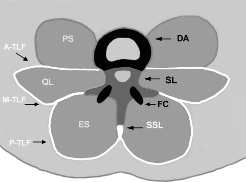 Fig. 1