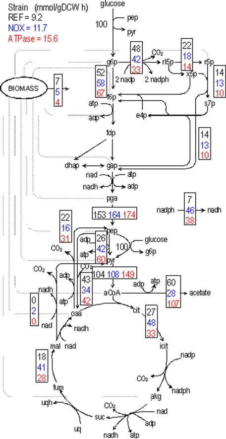 FIGURE 1.