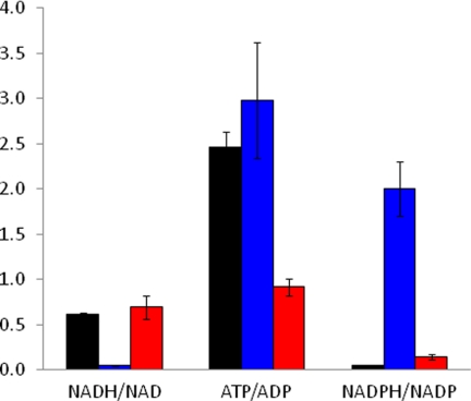 FIGURE 3.