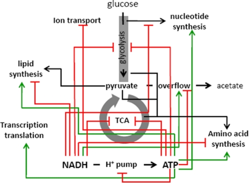 FIGURE 6.