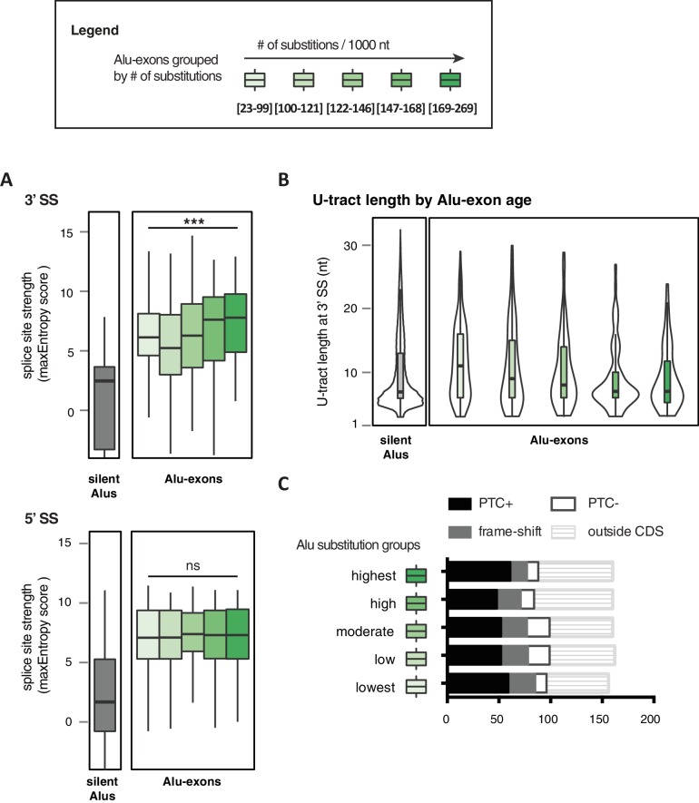 Figure 4—figure supplement 2.