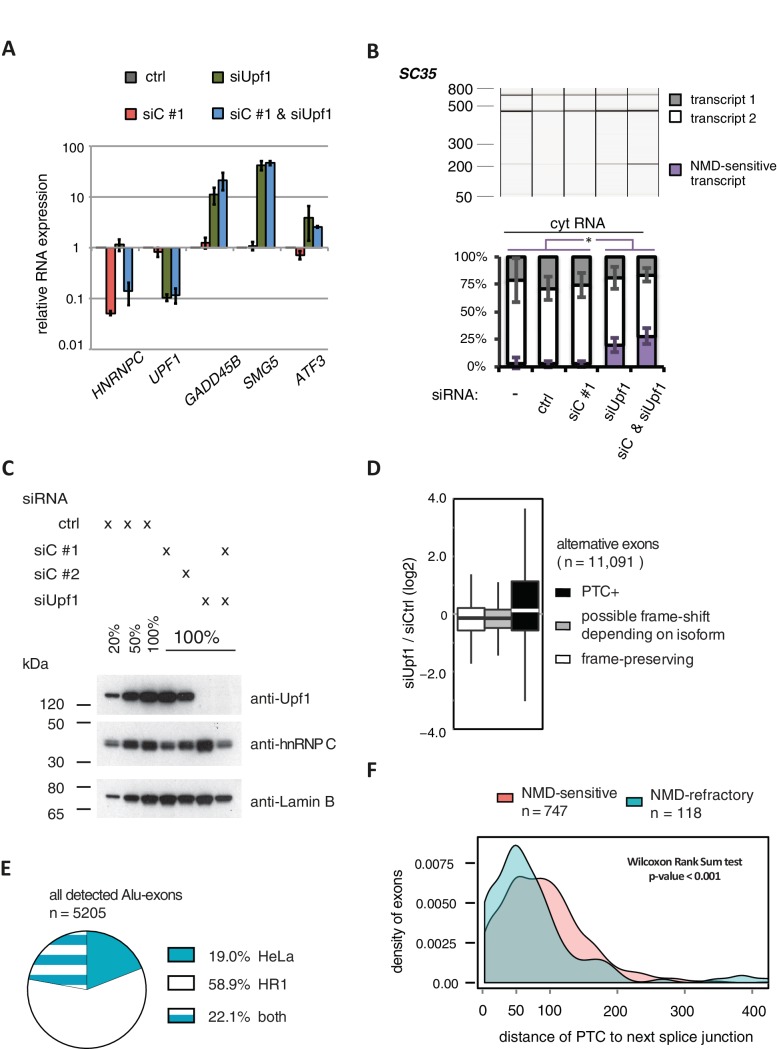 Figure 2—figure supplement 1.