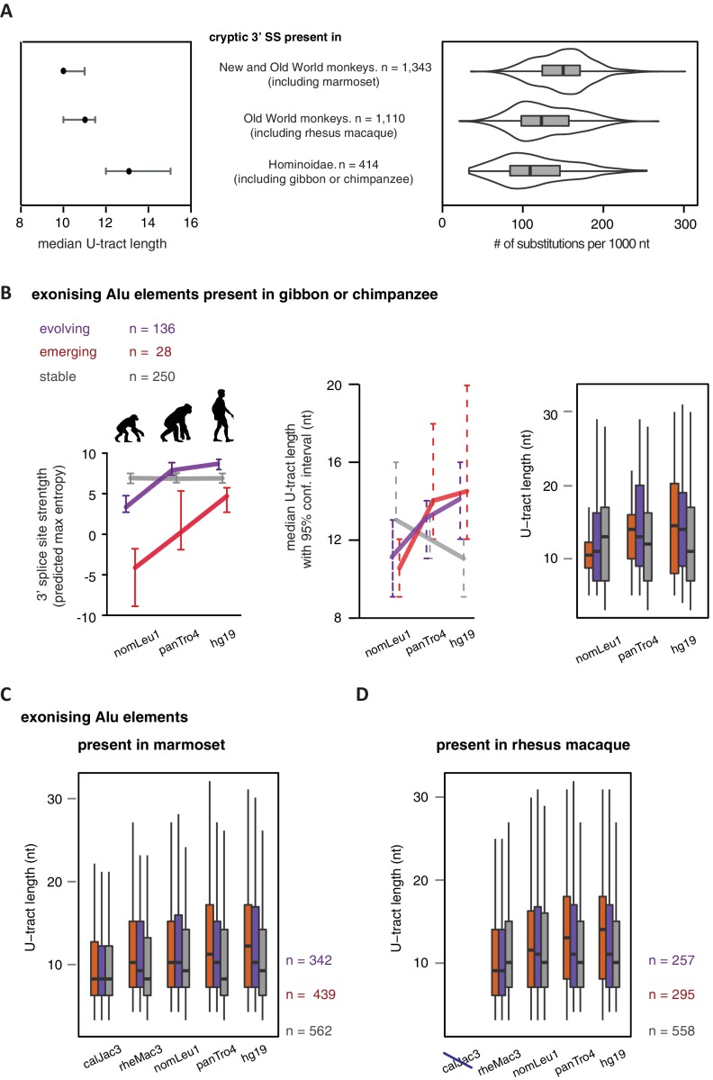 Figure 5—figure supplement 1.