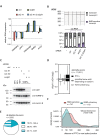 Figure 2—figure supplement 1.