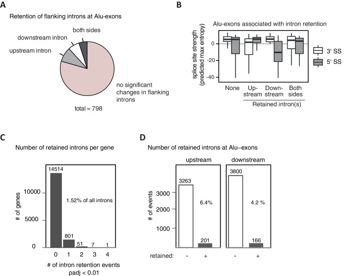 Figure 3—figure supplement 1.