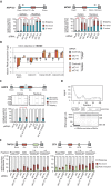 Figure 3—figure supplement 2.