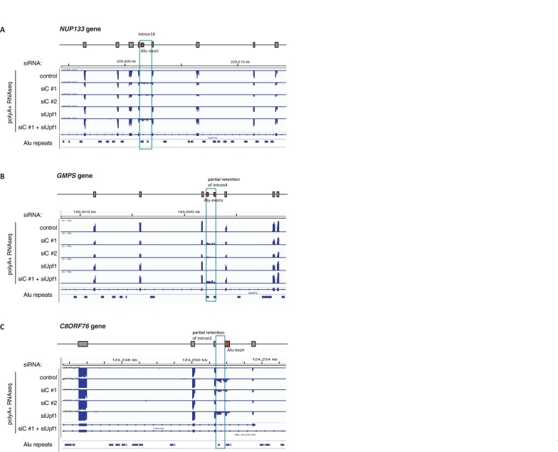 Figure 3—figure supplement 3.