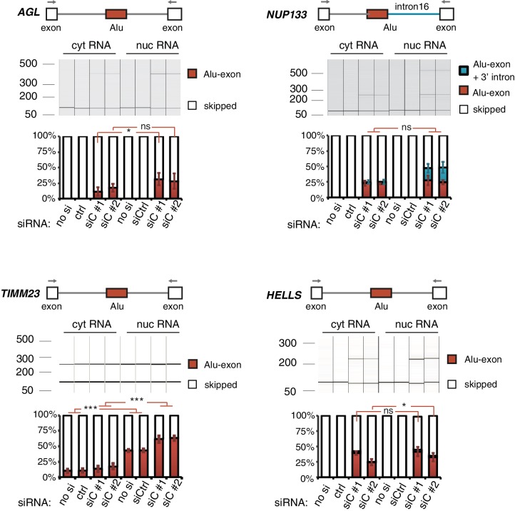 Figure 1—figure supplement 3.