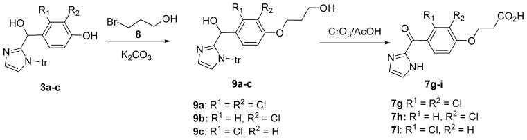 Scheme 2