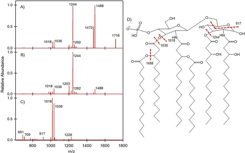 Figure 3.