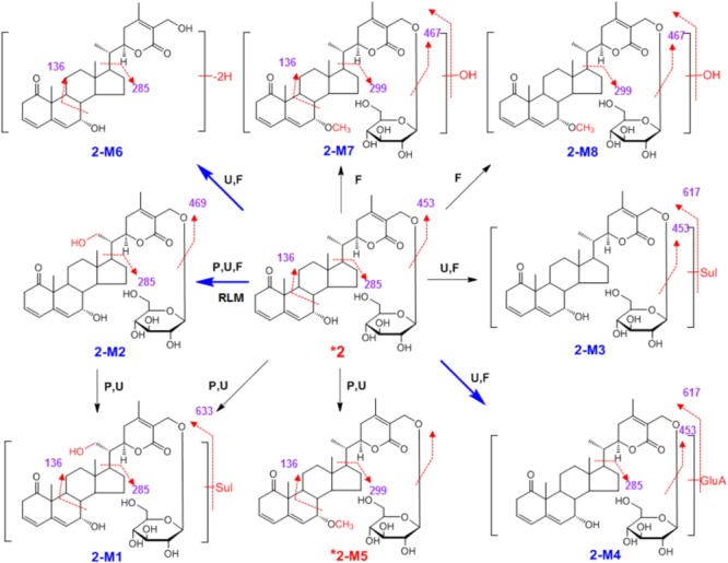 SCHEME 2